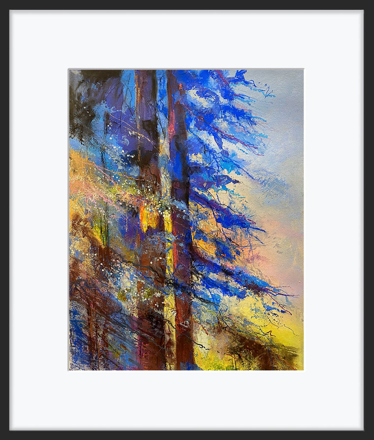 Dawn Light