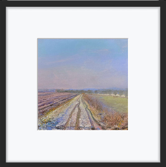 The Track