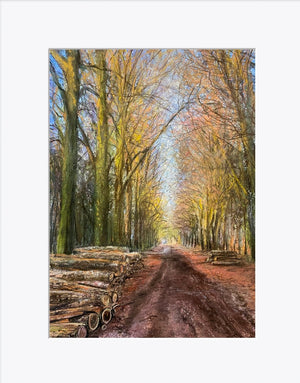 The Avenue -Original is: 30cm x 40cm Mixed medium on fabriano paper