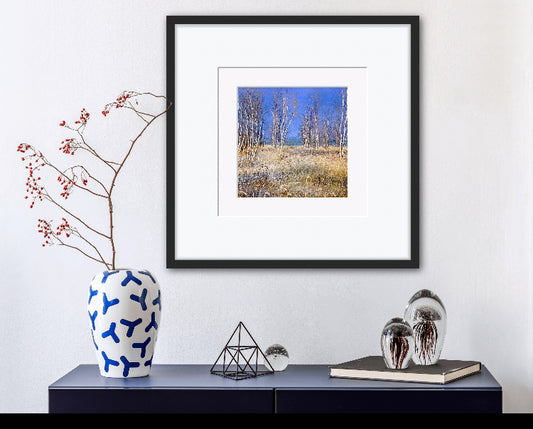Winter Birches