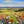 Summer Meadow