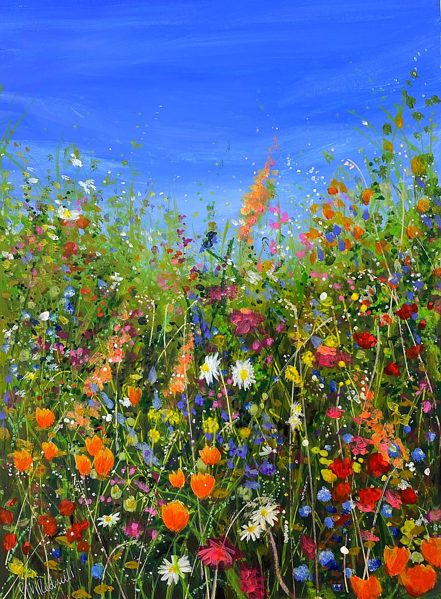 Summer Warmth 1