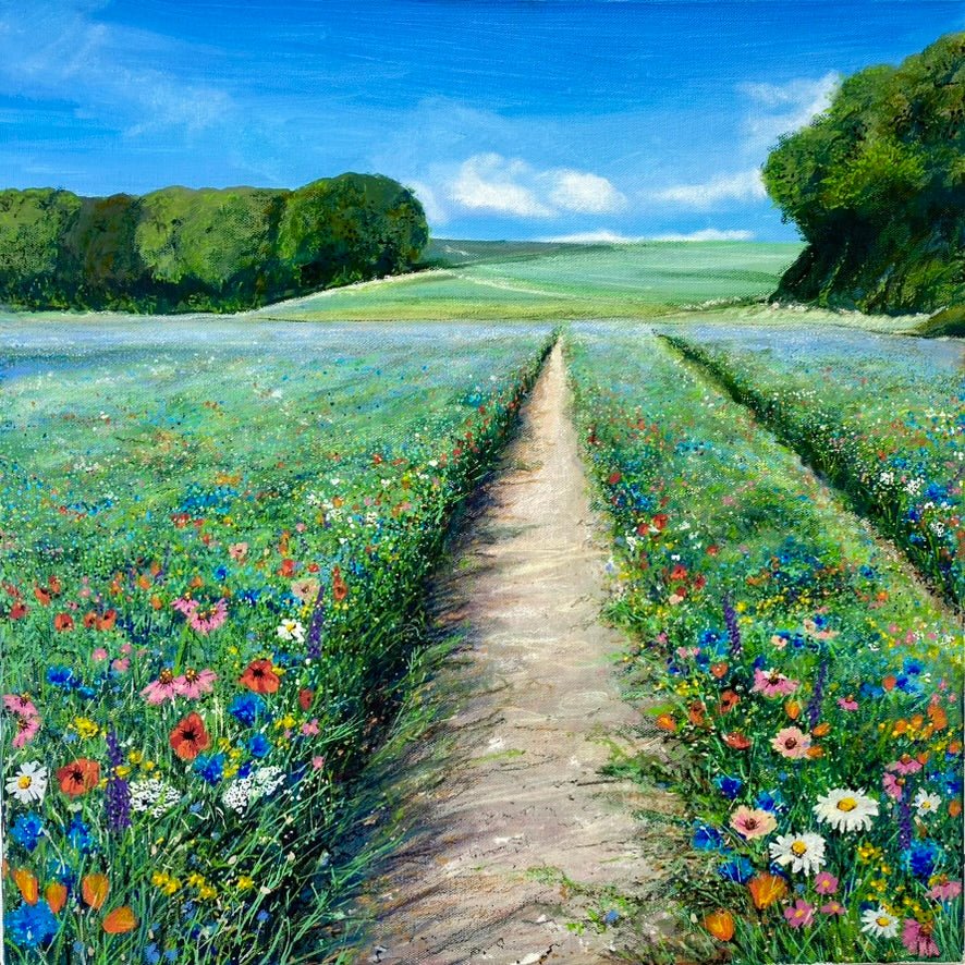 Wildflower meadow 4