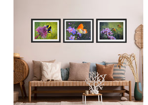 Orange Tip Butterfly - Original is: 40cm x 30cm Mixed medium on fabriano paper