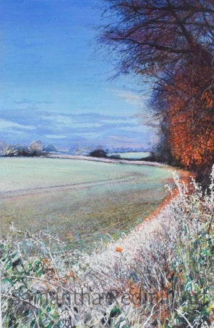Evening classes - £299