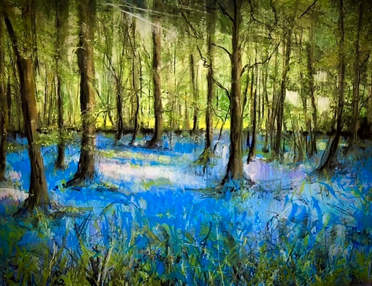 Spring in the Woods