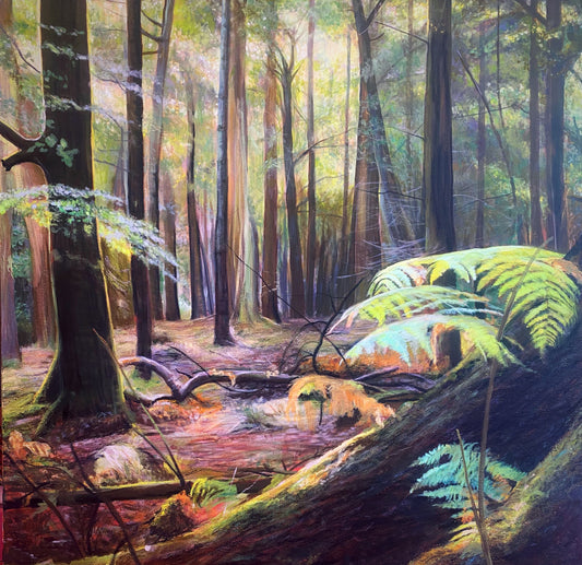 Forest Light