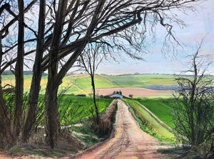 A View from the Woods