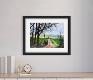 A View from the Woods