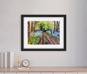 Woodland Stroll