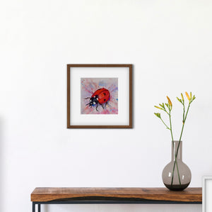 Ladybird