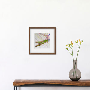 Grasshopper