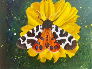 Tiger Moth - Original is: 40cm x 30cm Mixed medium on fabriano paper