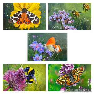 Tiger Moth - Original is: 40cm x 30cm Mixed medium on fabriano paper