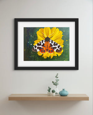 Tiger Moth - Original is: 40cm x 30cm Mixed medium on fabriano paper