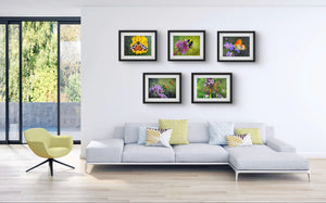 Tiger Moth - Original is: 40cm x 30cm Mixed medium on fabriano paper