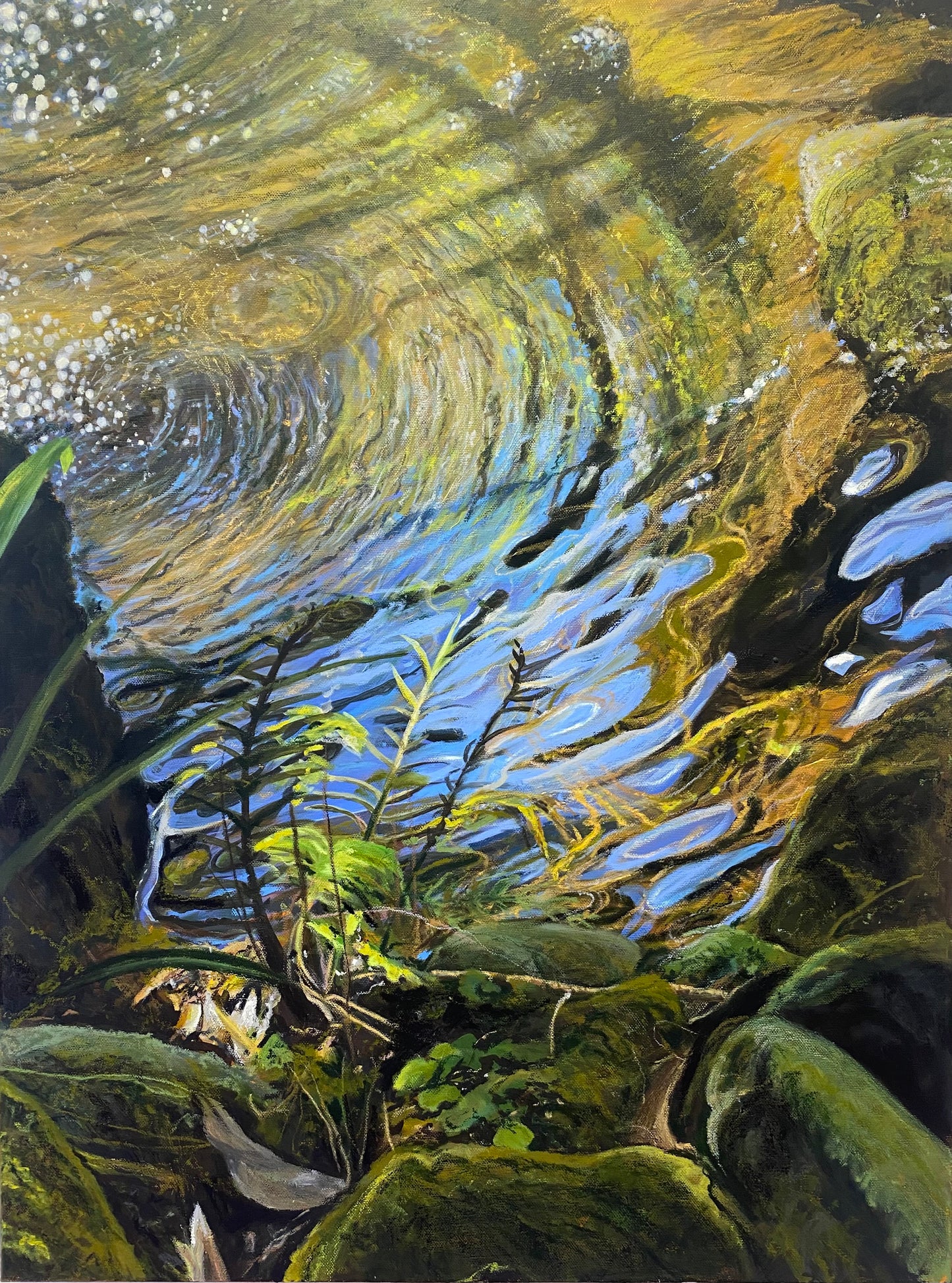 Down by the River - The Ripple Effect - 50cm x 70cm Acrylic ans oil pastel on canvas