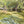 River of Memories