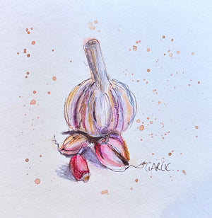 Garlic - 20cm x 20cm limited edition print - watercolour, coloured pencil and fineliner