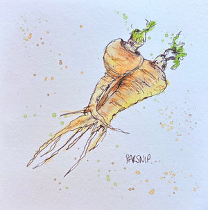 Parsnip - 20cm x 20cm limited edition print - watercolour, coloured pencil and fineliner