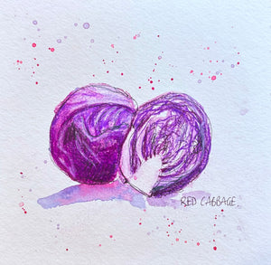Red Cabbage - 20cm x 20cm limited edition print - watercolour, coloured pencil and fineliner