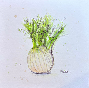 Fennel - 20cm x 20cm limited edition print - watercolour, coloured pencil and fineliner