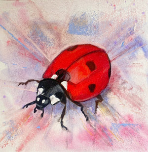 Ladybird