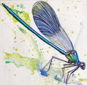 Dragonfly