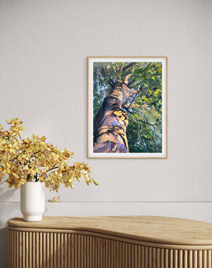 Look Up! - Giant Beech - Original is 100cm x 120cm, Acrylic, oil and oil pastel on canvas. Limited edition prints available