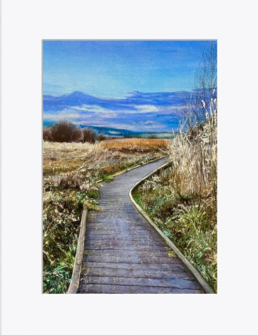 Frosty Boardwalk