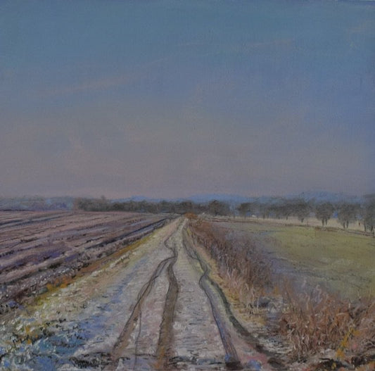 The Track