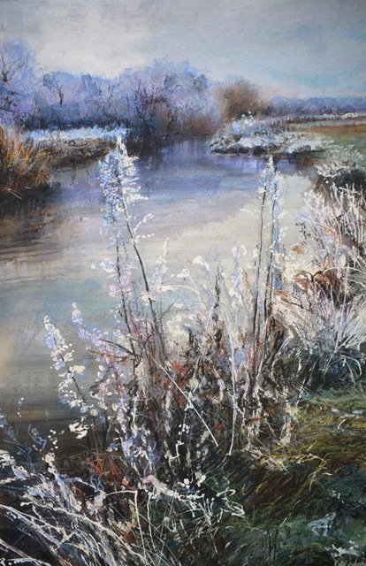 Winter Walk