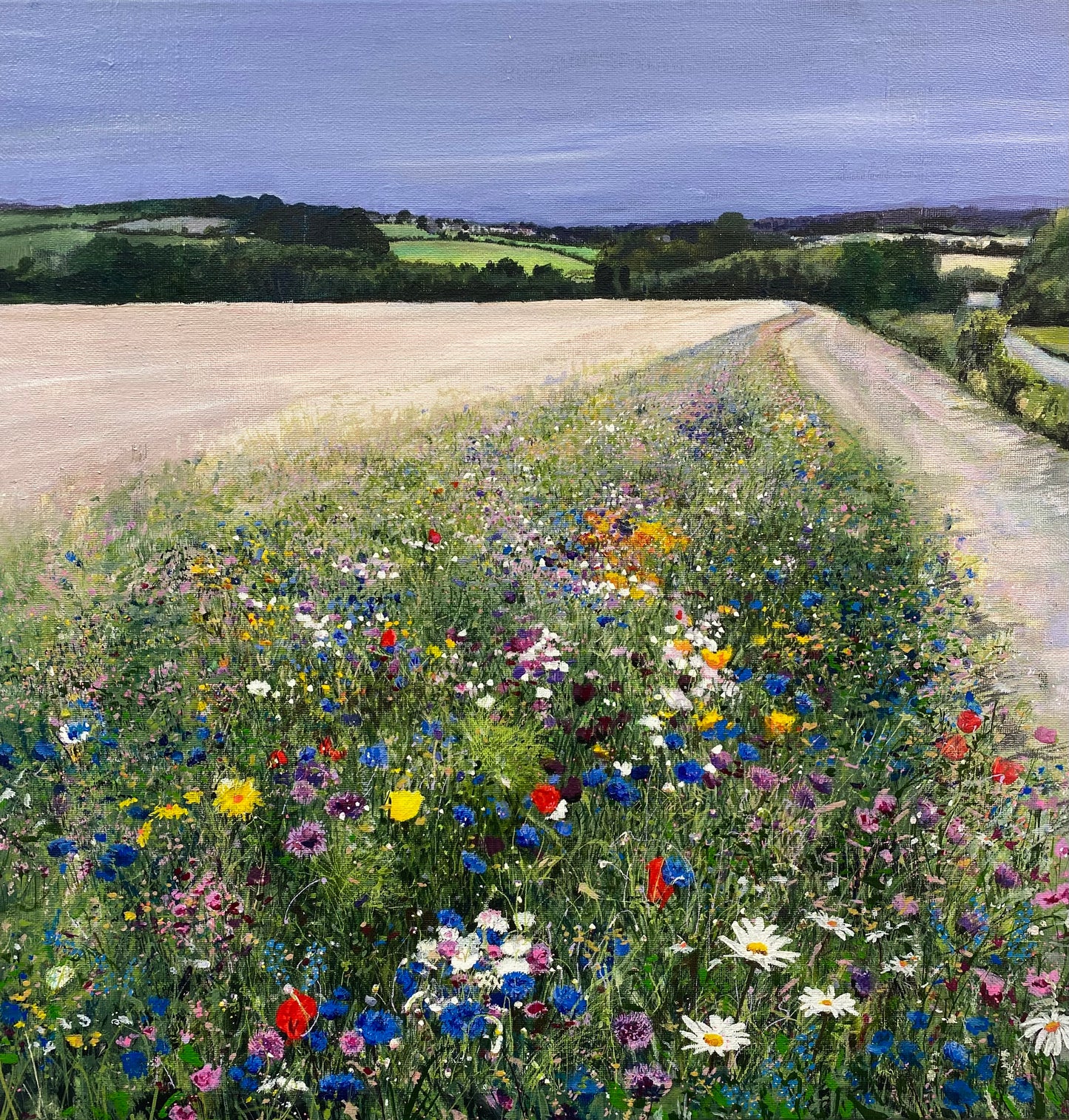 Wildflower Meadow
