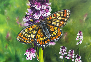 Marsh Fritillary - Original is 60cm x 40cm Oil and oil pastel on canvas