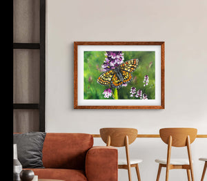 Marsh Fritillary - Original is 60cm x 40cm Oil and oil pastel on canvas